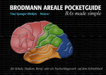 Buchcover von »Brodmann Areale Pocketguide«